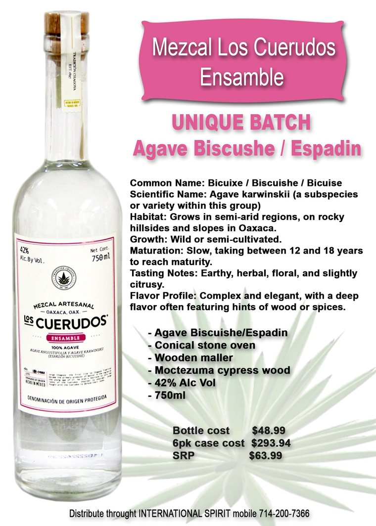 Mezcal Los Cuerudos · Tradición Chagoya Espadín–Bicuishe Ensamble · Unique Batch
